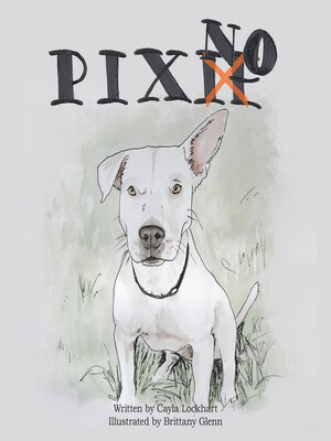 cover image of Pixno!